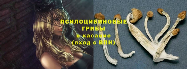 дурь Липки
