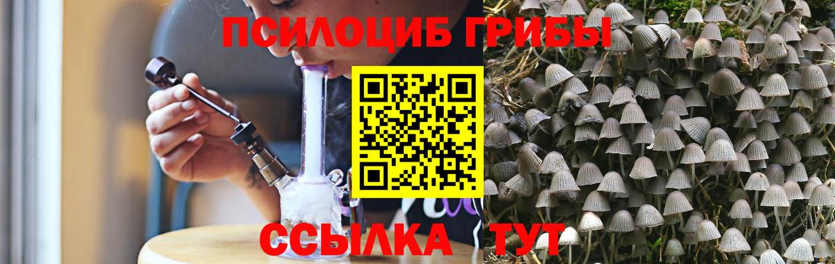 Галлюциногенные грибы прущие грибы  Вход с VPN  Мичуринск 